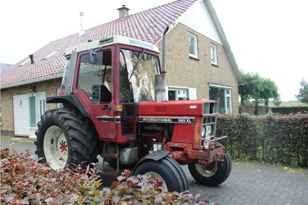 International 585 XL
